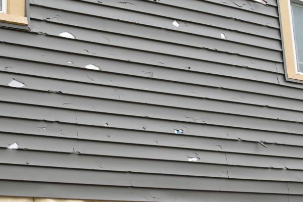 Best Siding for New Construction  in Woodville, MS