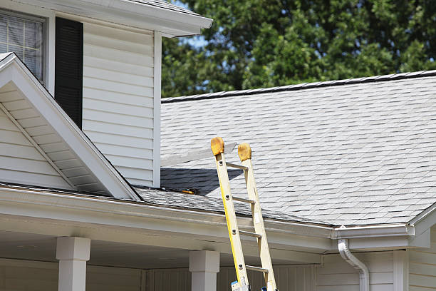 Best Storm Damage Siding Repair  in Woodville, MS